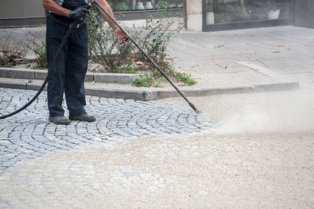 Best Fence Cleaning  in Ville Ptte, LA